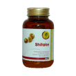 shiitake linea plus 90cpr