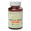 agaricus linea basic 120 compresse