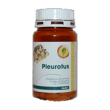 pleurotus linea basic 120cpr