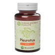 pleurotus linea basic 120cpr