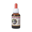 derma355 30ml