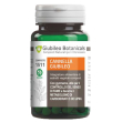 giubileo botanicals cannella 50cps