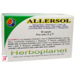 allersol 60 capsule