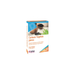 carbone vegetale pensa 40 pz compresse