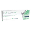 hyalganbio sir intra-art 2ml