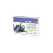 mirtillo quercetina 30 capsule - integratore per la vista e il microcircolo