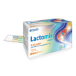 lactomix adulti 10 stick
