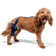 jump - tutore ortopedico ginocchio destro per cani taglia s