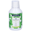 coslys collutorio alla menta bio 250 ml