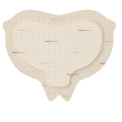 mepilex border sacrum 16x20 5p