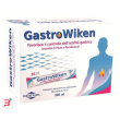 gastrowiken 20 bustine x 15 ml