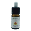 ganoderma oil 20t 10ml