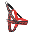 pettorina neoprene dyn ro 100