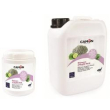 cam shampoo argilla verde con oli essenziali 5lt g415/b