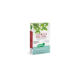 ginkgo biloba 40 capsule - integratore per la memoria, le funzioni cognitive e la circolazione sangu