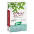 ginkgo biloba 40 capsule