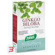 ginkgo biloba 40 capsule