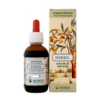 flogea 57 soluzione idroalcolica arcangea 100 ml