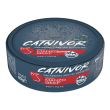 catnivor manzo 80 gr