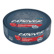 nextmune drn catnivor gatto pate' manzo 80gr (lattina)