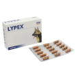lypex 60 capsule mangime complementare cani gatti