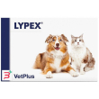 lypex 60 capsule