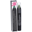 camaleon magic colour verde rossetto 4 g