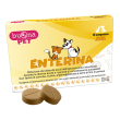 buona pet enterina 10 compresse