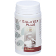 galatea plus capsule 100 pz