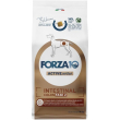 forza 10 active vet diet intestinal colon fase 2 al pesce - alimento completo per cani 10 kg