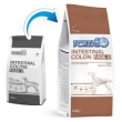 f10 active dog intestinal colon fase 2 4kg 0912104 minsan 924787979