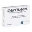 cartilagil 20 cpr