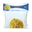 silvana spugna marina naturale del mediterraneo misura l