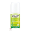 24h deo roll-on limone 50 ml