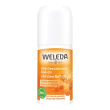 24h deo roll-on olivello 50ml