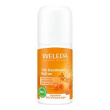 24h deo roll-on olivello 50ml
