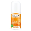 24h deo roll-on oliv spin 50ml