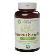 agaricus polvere bio 100g