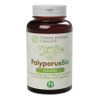 polyporus polvere bio 100g