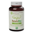 reishi polvere bio 100g