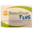 somaprost plus 20 stick