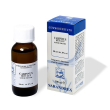 extragem carpino bianco gemme