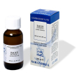 extragem faggio gemme 20ml