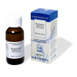 extragem platano gemme 20ml