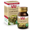 winter carciofo 55cpr