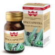 spaccapietra 30cpr winter