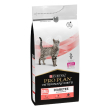 ppvd gatto dm diabet manag1,5k