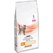 ppvd gatto om obesity man1,5kg