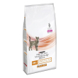 ppvd gatto om obesity man1,5kg