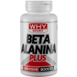whysport beta alanina pl 90 compresse